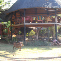 The Elephant Camp Victoria Falls 