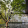 Garrya Nijo Castle Kyoto - Banyan Group 