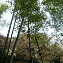 Arima Onsen Motoyu Kosenkaku 