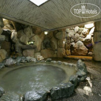 Arima Onsen Motoyu Kosenkaku 