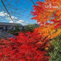 Arima Onsen Motoyu Kosenkaku 