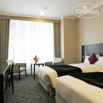 The Celestine Tokyo Shiba 