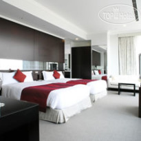 The Celestine Tokyo Shiba 