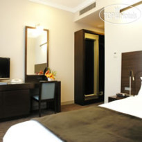 The Celestine Tokyo Shiba 