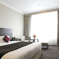 The Celestine Tokyo Shiba 