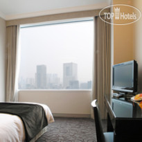 The Celestine Tokyo Shiba 