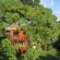 Tree Lodge Mauritius 