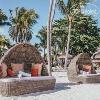 Ambre Mauritius