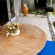 Harmonie Villa 