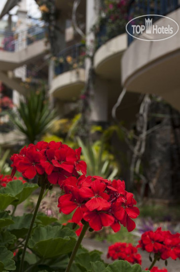 New photos from tourists Harmonie Villa