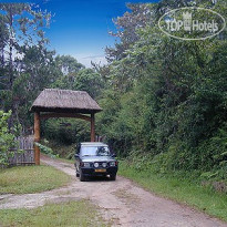 Vakona Forest Lodge 