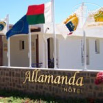 Allamanda