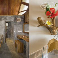 Constance Tsarabanjina 