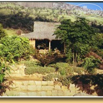 Camp Catta