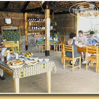 Camp Catta