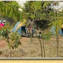 Camp Catta