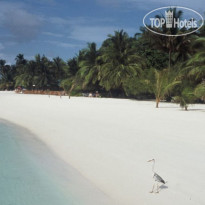 Vakarufalhi Maldives 