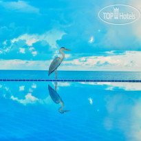NH Maldives Kuda Rah Resort 