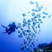 NH Maldives Kuda Rah Resort