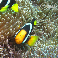 Ellaidhoo Maldives by Cinnamon