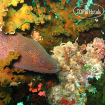 Ellaidhoo Maldives by Cinnamon