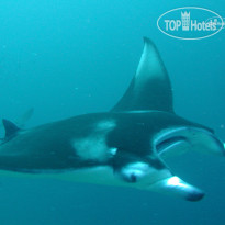 Ellaidhoo Maldives by Cinnamon 