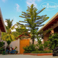 Evila Inn Thoddoo Guest House