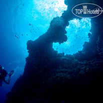 Bliss Dhigurah Diving
