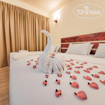 Shoreline Grand Thoddoo
