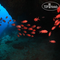 Veligandu Island Resort & Spa