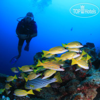 Veligandu Island Resort & Spa