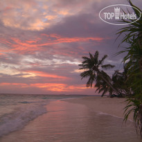 Coco Palm Dhuni Kolhu Sunset