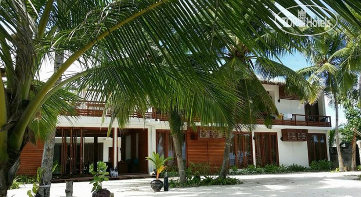 New photos from tourists Aveyla Manta Village 3*