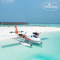 Dhigufaru Island Resort