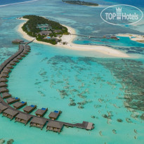 Cocoon Maldives
