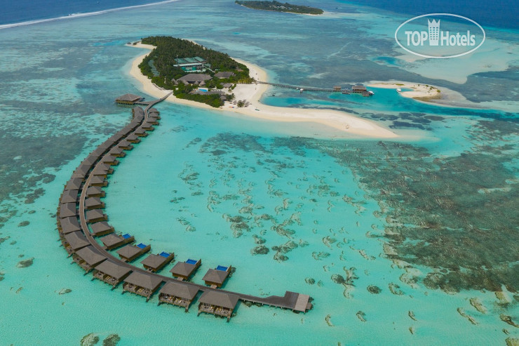 Hotelier's photos Cocoon Maldives 5*