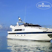 The Rania Experience 