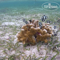 Nazaki Residences Beach Hotel 