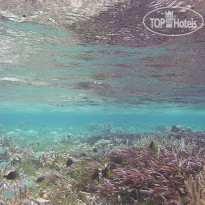 Nazaki Residences Beach Hotel 