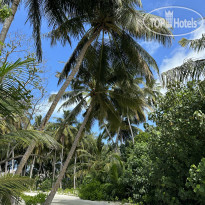 Madifushi Private Island