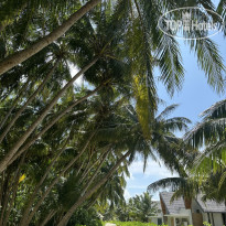 Madifushi Private Island