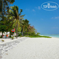 Coconut Tree Hulhuvilla Beach