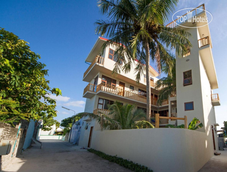 New photos from tourists Tropic Tree Maldives 3*