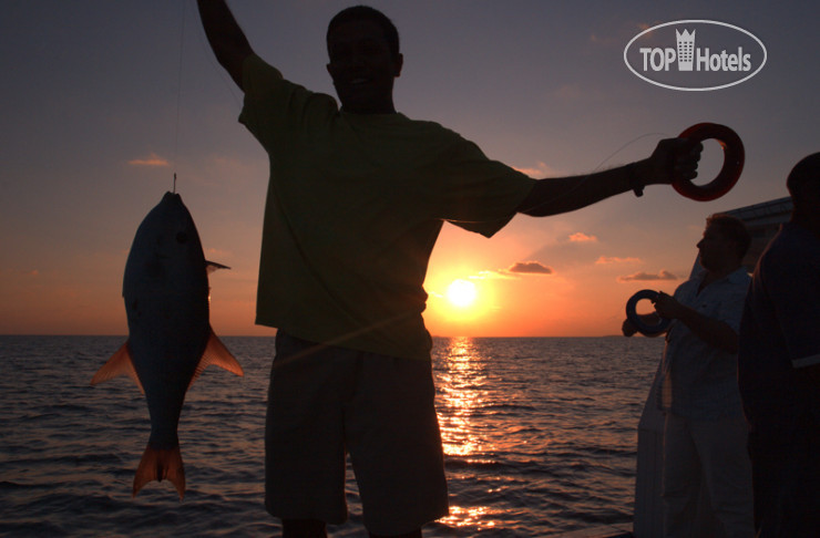 New photos from tourists Vaali Beach Lodge Maldives 3*