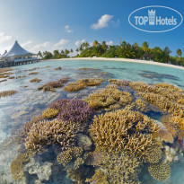 Safari Island Resort & SPA