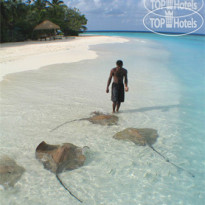 Banyan Tree Maldives Vabbinfaru