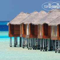 Anantara Dhigu Resort&Spa Maldives 