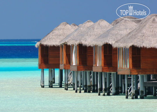 New photos from tourists Anantara Dhigu Resort&Spa Maldives 5*