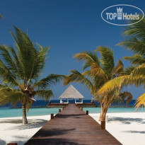 Coco Bodu Hithi