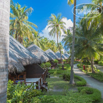 Bandos Maldives  